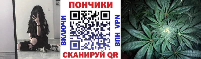 Бошки Шишки план  Знаменск 